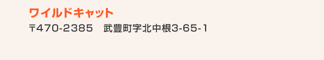 ワイルドキャット株式会社　〒470-2385 知多郡武豊町字北中根３丁目65-1